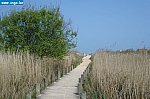 voyage Normandie avril 2009 2AF 085.jpg